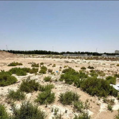 Nad Al Sheba Gardens 1