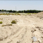 Nad Al Sheba Gardens 1